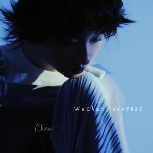 亚洲顶级男模裸视
