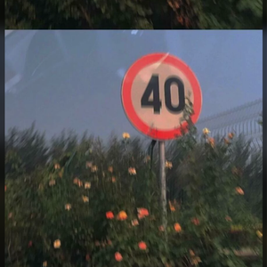 亚洲顶级男模裸视
